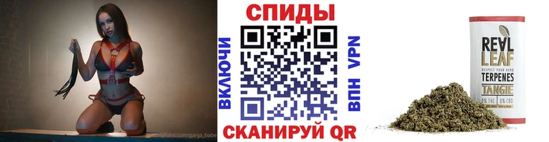 БУТИРАТ BDO гидра маркетплейс Пугачёв