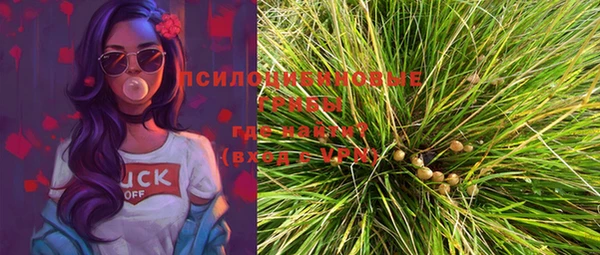 кристаллы Осинники