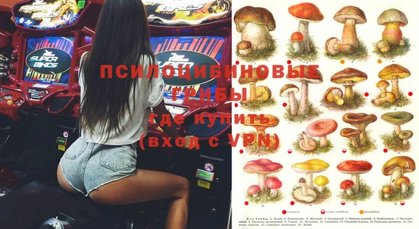 кристаллы Осинники