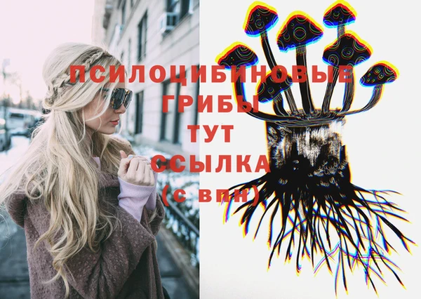 хмурый Осташков